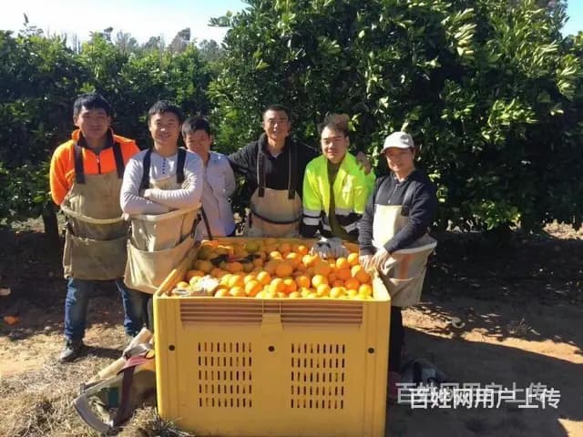 长沙出国打工项目费用一览表欧洲澳洲港澳办理月薪三万起 - 图片 2